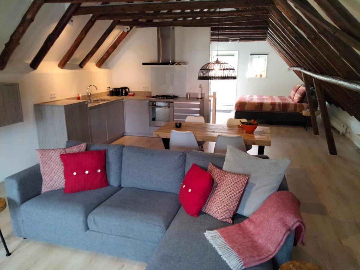 Appartement Badnieuweschans Bad Nieuweschans Bagian luar foto
